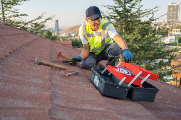 Best Stucco Siding  in Forestville, MD